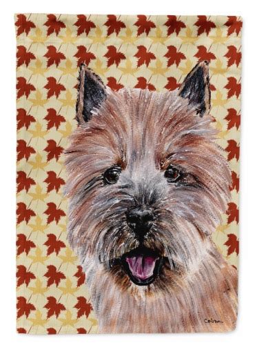 Carolines Treasures Sc Chf Norwich Terrier Fall Leaves House Flag