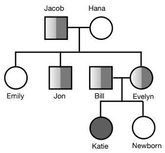 Genetics Diagram