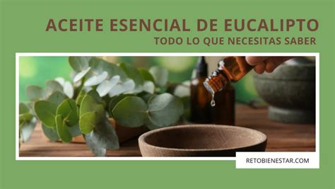 Descubre El Aceite Esencial De Eucalipto Reto Bienestar