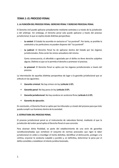 Tema Procesal Penal Dddddd Tema El Proceso Penal La Funci N