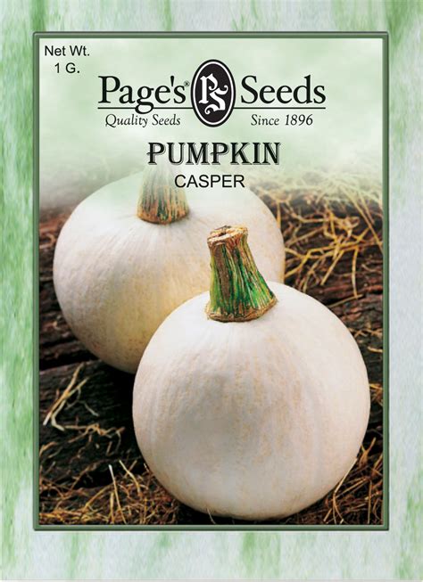 Pumpkin Casper | The Page Seed Company, Inc