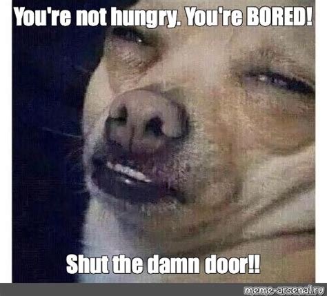 Meme You Re Not Hungry You Re Bored Shut The Damn Door All