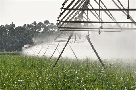 CENTRAL PIVOT IRRIGATION stock image. Image of view, spraying - 32504041