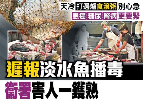 東方日報a1：遲報淡水魚播毒 衞署害人一鑊熟｜即時新聞｜港澳｜oncc東網