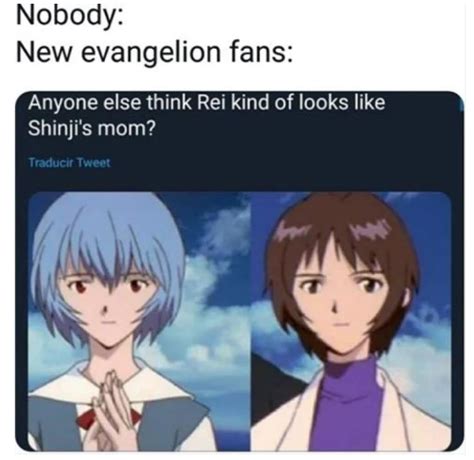 Planning To Share A Memorable Meme With A Buddy These Evangelion Puns