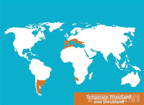 Temperate Woodland And Shrubland Biome