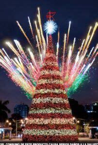 Asiste a la inauguración del Festival del Árbol Gallo 2022 en la Ciudad