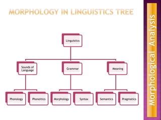 Morphology In Linguistics Tree Pptxafafaf Ppt