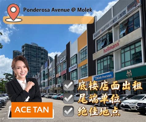 Ace Tan Realty Ponderosa Avenue Molek Storey End Lot Shop Lot