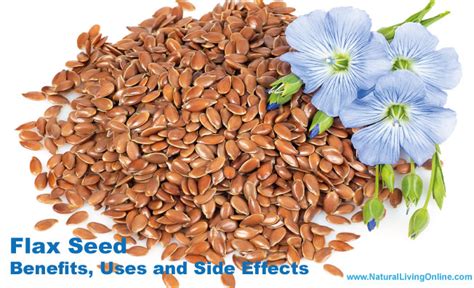 Flax Seed Benefits Uses And Side Effects Natural Living