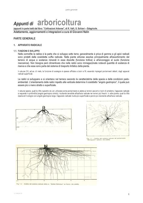 Coltivazioni Arboree Sintesi Parte Generale Parte In Parte Tratti Dal