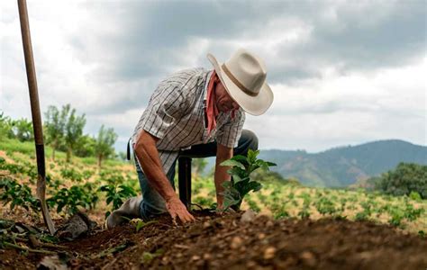 D A Nacional Del Campesino Conmemoraci N Y Agradecimiento A Quienes