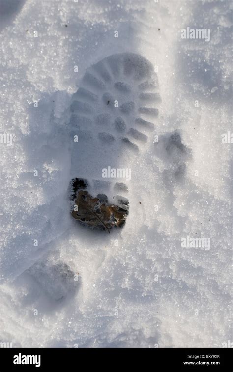 Footprint In Snow Stock Photo Alamy