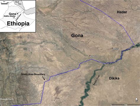 Smallest Homo erectus Cranium in Africa and Diverse Stone Tools Found at Gona, Ethiopia - The ...