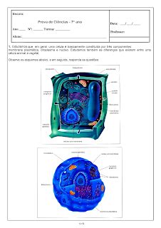 JORNAL R 7ª Modelos de Prova de Ciências para o 7º ano para imprimir