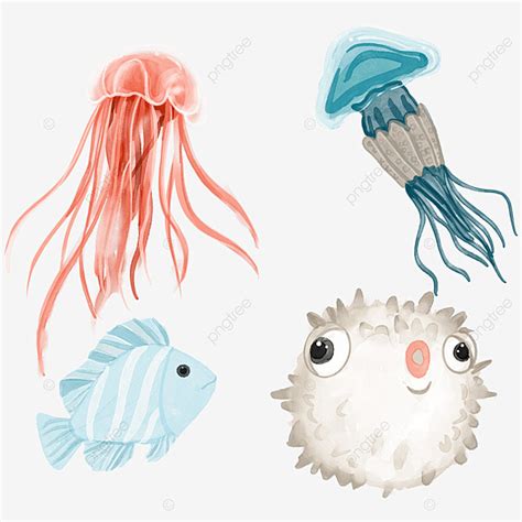 Marine Life Hd Transparent Watercolor Cute Marine Life Watercolor