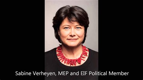 Sabine Verheyen Mep On The Internet Governance Youtube