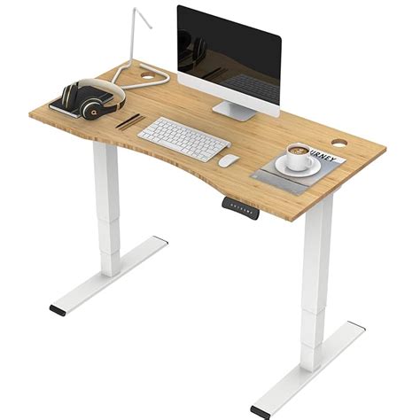 Buy Flexispot Classic Stages Dual Motor Electric Standing Desk X