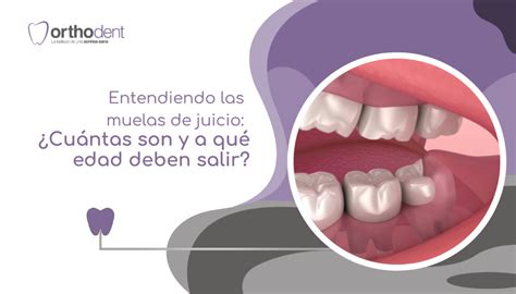 Muelas Del Juicio Orthodent