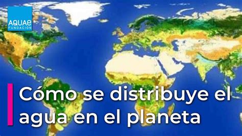 Distribucion Del Agua En El Cuerpo