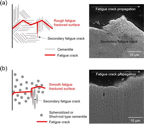 E Schematic Diagrams Of Fatigue Crack Propagation Related To