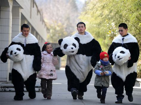 Cute Panda People