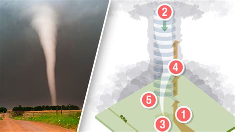 Tromba Marina Vs Tornado Cu L Es La Verdadera Diferencia