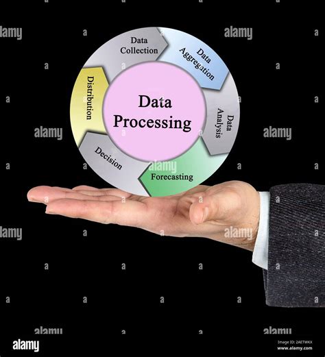 Five Components Of Data Processing Stock Photo Alamy