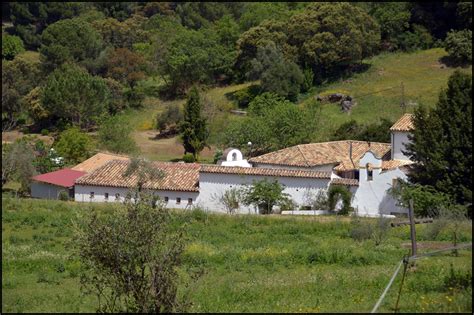 DOMINGO DE LA MISERICORDIA ANIVERSARIO DE LA BEATIFICACIÓN DEL PADRE