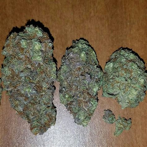 Photos Of Amnesia Haze Weed Strain Buds Leafly