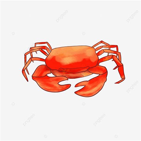 Mid Autumn Festival Crab Hand Painted Illustration Crab Hairy Crab