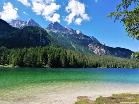 Lago Di Tovel Passeggiata In Val Di Non Con Bambini Bimbi Viaggiatori