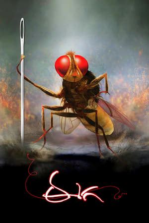 Eega (2012) — The Movie Database (TMDB)