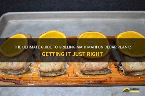 The Ultimate Guide To Grilling Mahi Mahi On Cedar Plank Getting It Just Right Shungrill