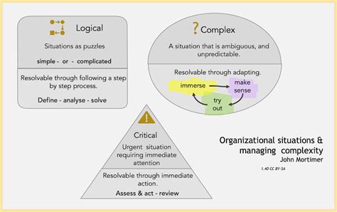 Organisations And Managing Making Sense Of Complexity