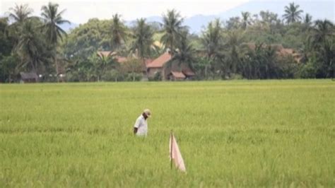 Terkait Arahan Mentan Syl Wakil Bupati Subang Siap Dampingi Petani