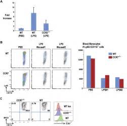 Microbial Stimulation Fully Differentiates Monocytes To Dc Sign Cd