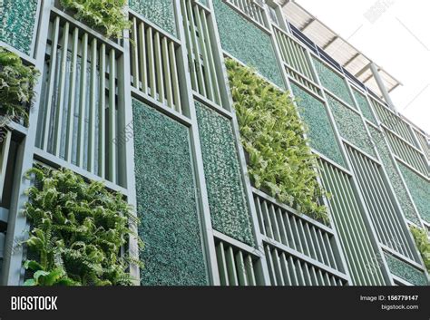 Green Facade Vertical Garden Image And Photo Bigstock