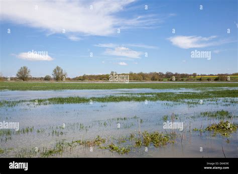 Crop Damage Flood Hi Res Stock Photography And Images Alamy