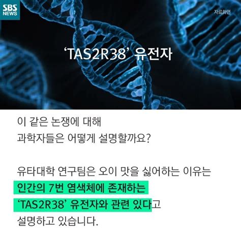 오이를 싫어하는 사람은 더 발달된 사람이다 인스티즈 Instiz 이슈 카테고리