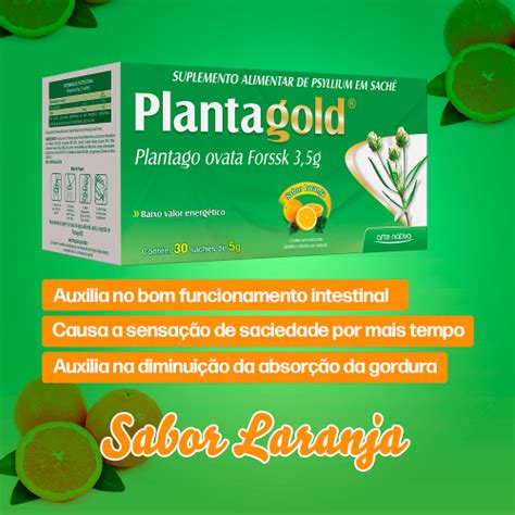 Planta Gold Plantago Ovata Psyllium Em Sach S Arte Nativa Kit