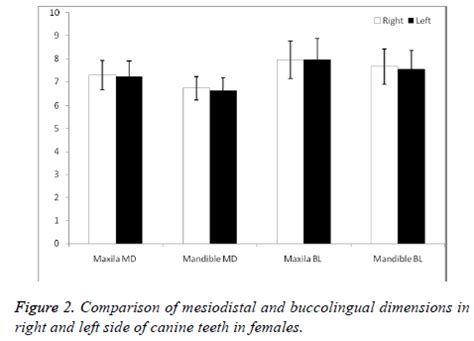 Sexual Dimorphism In Permanent Canine Teeth And Formulas For Sex Determination