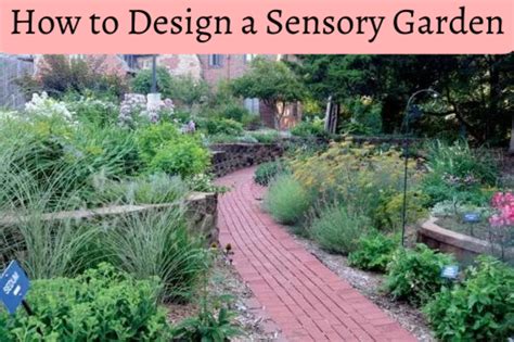 How To Design A Sensory Garden For The Blind Or Visually Impaired Dengarden