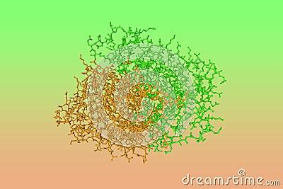 Human Quinone Reductase 2 Rendering With Differently Colored Protein