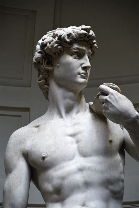 Il David Di Michelangelo E La Rappresentazione Dellumanesimo