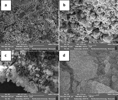 Sem Micrographs Of A Cao Powder Portlandite Crystals Formed Upon