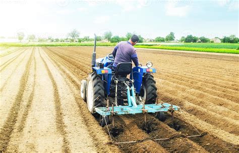 Farmer On A Tractor Making Ridges And Mounds Rows On A Farm Field