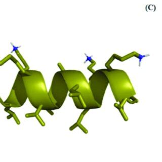 The Helical Projection And D Structure Of The Hp Map Peptide