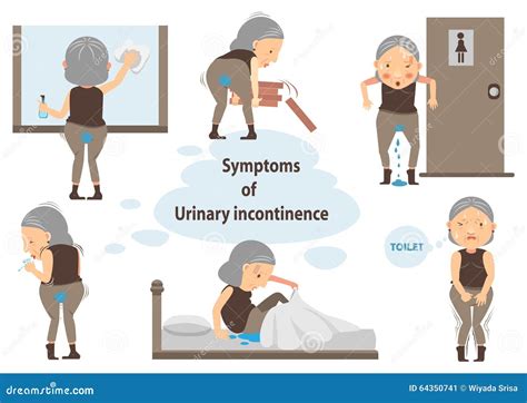 Urinary Incontinence Stock Vector Illustration Of Estrogen 64350741