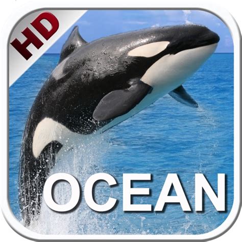Kids Ocean Encyclopedia. Book and video for children. Sea life. by ...